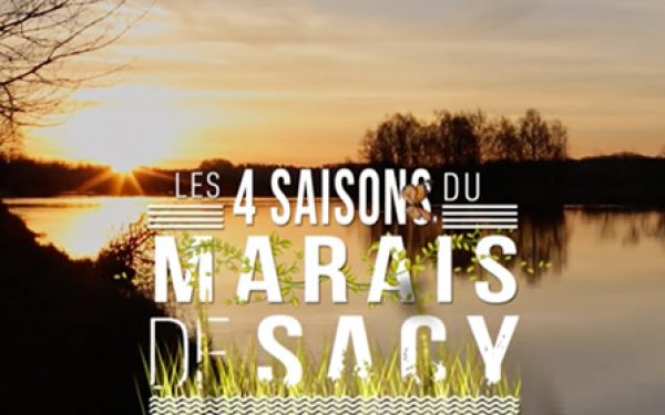 Les 4 saisons du marais de Sacy